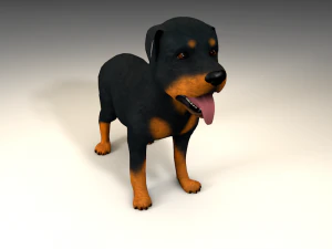 dog rottweiler 3D Model