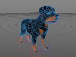 dog rottweiler 3D Model