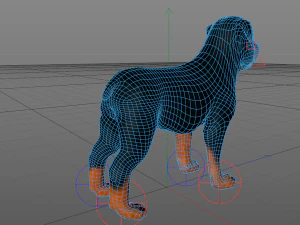 dog rottweiler 3D Model