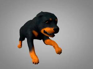 dog rottweiler 3D Model