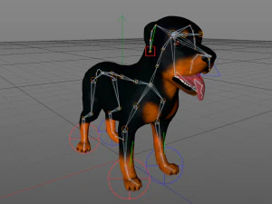 dog rottweiler 3D Model