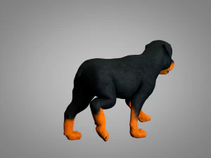 dog rottweiler 3D Model