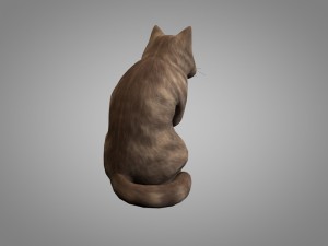 cat or kitty 3D मॉडल