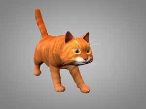 cat or kitty 3D मॉडल