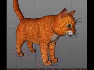 cat or kitty 3D मॉडल