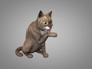 cat or kitty 3D मॉडल