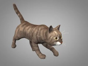 cat or kitty 3D Model