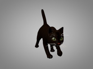 cat or kitty 3D मॉडल