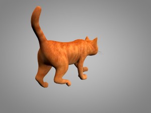cat or kitty 3D मॉडल