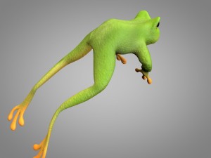 frog or toad 3D 模型