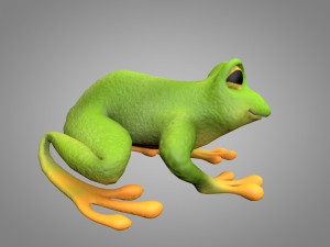 frog or toad 3D 模型