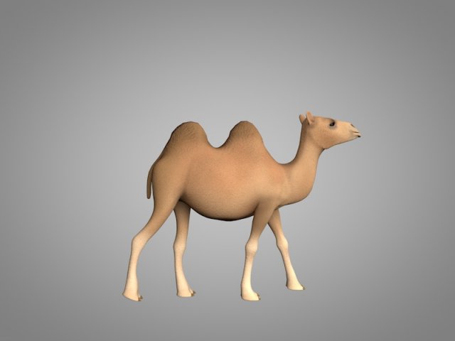 camel 3D Model .c4d .max .obj .3ds .fbx .stl .blend 