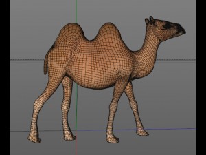 camel 3D Model