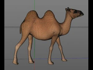 camel 3D Model