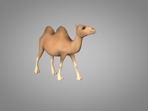 camel 3D Model