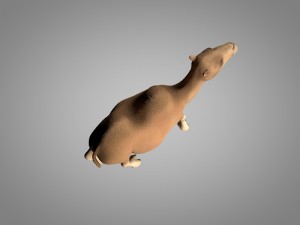 camel 3D Model