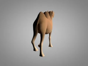 camel 3D Model