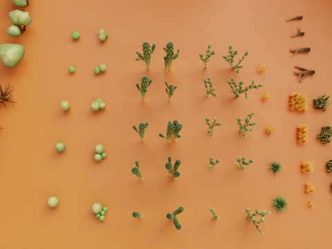 Low Poly Nature Desert Modèle 3D