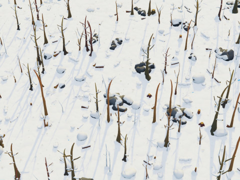 低聚季节性森林生物群落 3D 模型