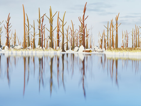 低聚季节性森林生物群落 3D 模型
