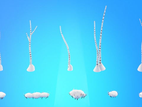 低聚季节性森林生物群落 3D 模型