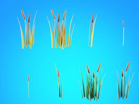 低聚季节性森林生物群落 3D 模型