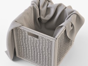 rattan basket ikea branas Modèle 3D