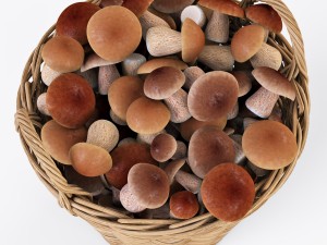 wicker basket ikea nipprig with mushrooms 3D Model