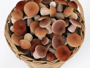 wicker basket ikea nipprig with mushrooms 3D Model