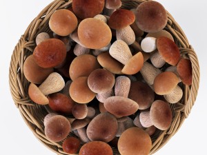 wicker basket ikea nipprig with mushrooms 3D Model