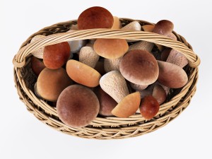 wicker basket 01 with mushrooms 3D Model
