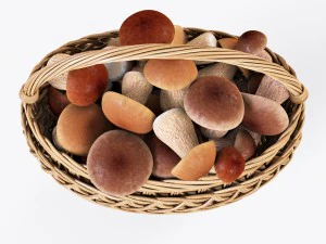 wicker basket 01 with mushrooms 3D Model