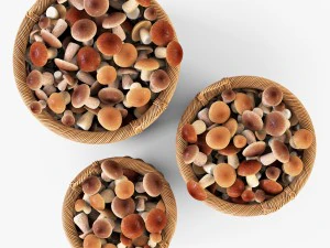 wicker basket 07 toasted oat color with mushrooms 3D Model