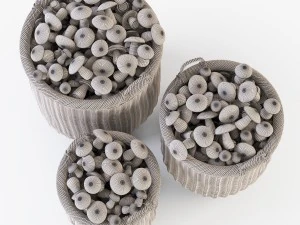 wicker basket 07 toasted oat color with mushrooms 3D Model