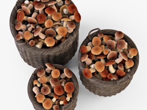 wicker basket 07 walnut brown color with mushrooms 3D Model