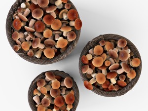 wicker basket 07 walnut brown color with mushrooms 3D Model