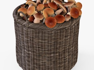 wicker basket 07 walnut brown color with mushrooms 3D Model