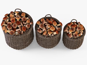 wicker basket 07 walnut brown color with mushrooms 3D Model