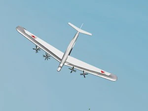 niedźwiedź ty-95 Model 3D