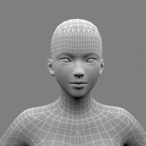 low poly base mesh female 3ds obj fbx 3Dモデル .c4d .max .obj .3ds .fbx .stl .blend 