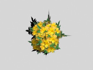 flowers low-poly for games 3D Модель