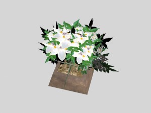 flowers low-poly for games 3D Модель