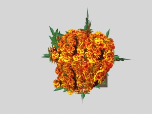 flowers low-poly for games 3D Модель