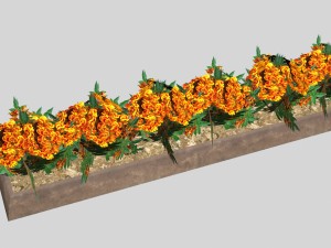 flowers low-poly for games 3D Модель