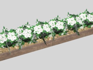 flowers low-poly for games 3D Модель