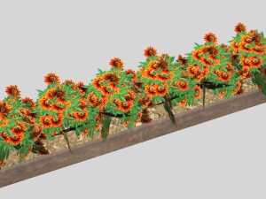 flowers low-poly for games 3D Модель