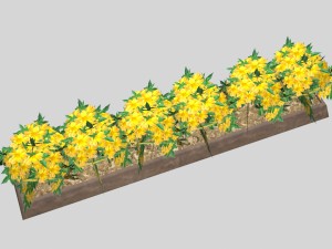 flowers low-poly for games 3D Модель