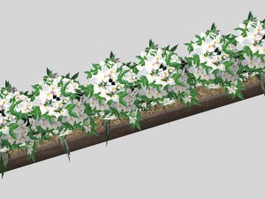 flowers low-poly for games 3D Модель