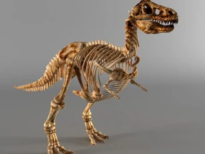 恐龙骨架 3D 模型