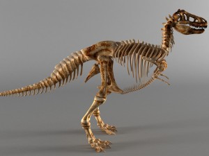 dinosaur a skeleton 3D मॉडल